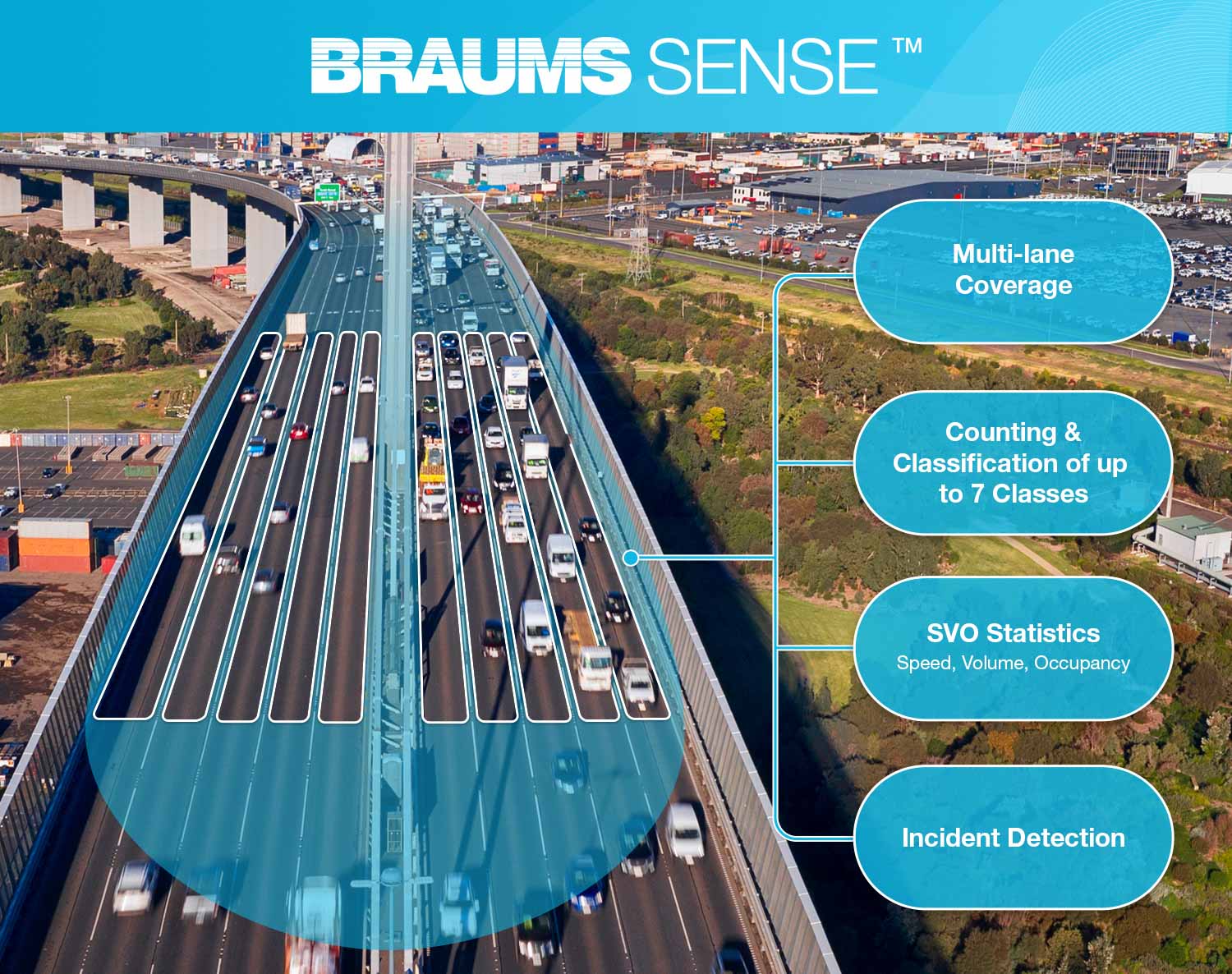 BRAUMS Sense Count Graphic